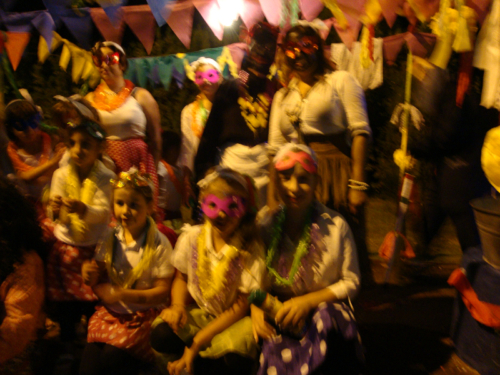 carnaval2015 plvd 0067