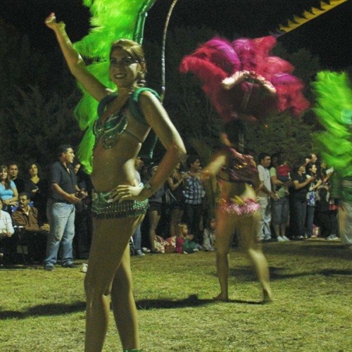 carnaval 2011 036