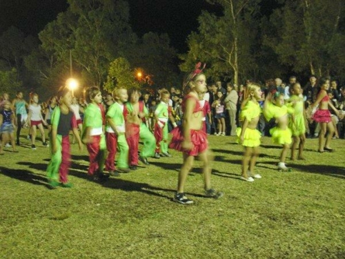 carnaval 2011 041