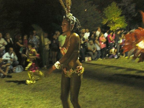 carnaval 2011 047