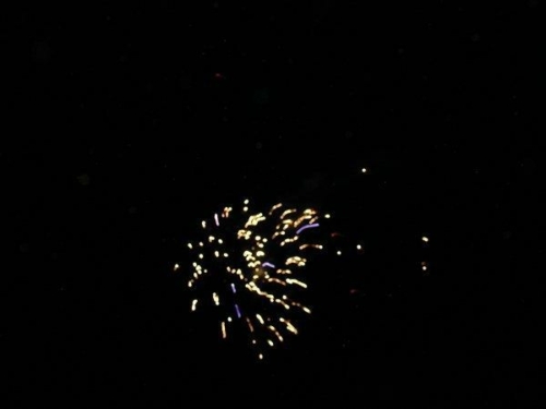 carnaval 2011 048