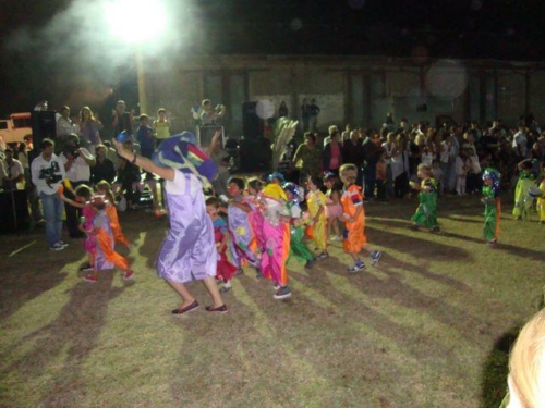 carnaval 2011 053