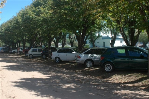 dsc 6178