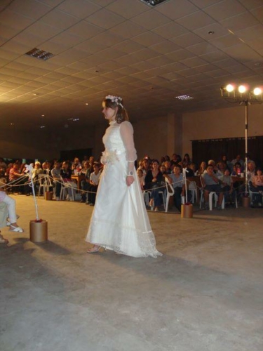 fiestapolvaredas46