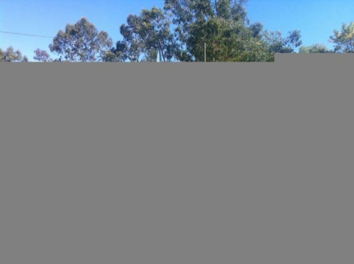 imagen88 024